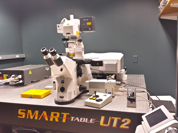 Photograph of microscope in the DePace lab.