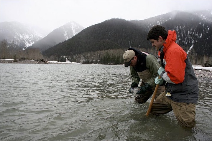 Digging for microbes in river sediment outside Glacier National Park. Photo: Gordon Luikart. 